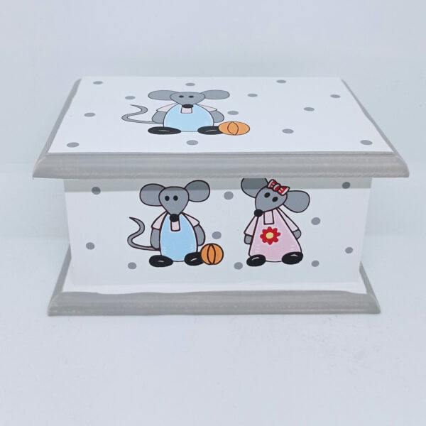 62864 - Κουτάκι ποντικάκια