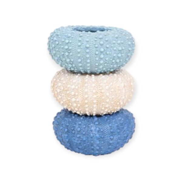 D8012 - Μπώλ/Ρεσό Αχινός μικρό