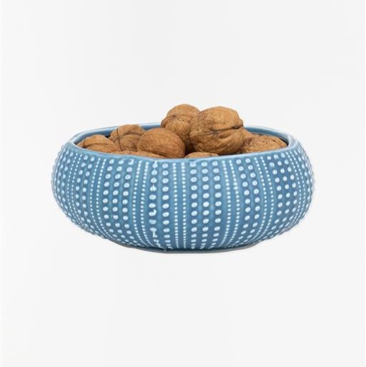 D7895 - Μπώλ Αχινός μεγάλο