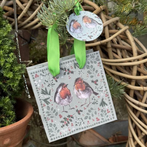 XSMB11 - Τσάντα Δώρου μικρή Xmas Robins