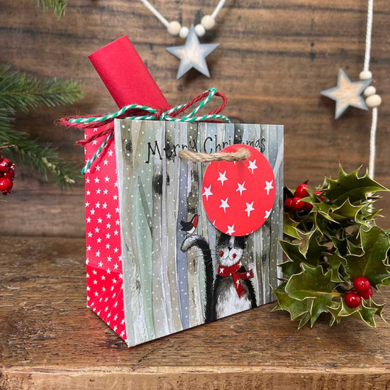 XSMB07 - Τσάντα Δώρου μικρή Xmas Cat