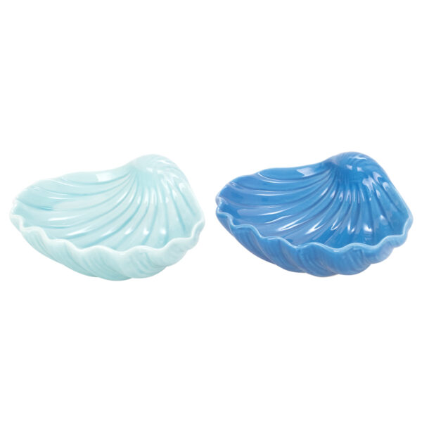 S32475 - Kοχύλι